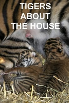 Poster da série Tigers About the House