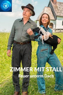 Zimmer mit Stall - Feuer unterm Dach