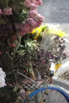 Flowers and Bike