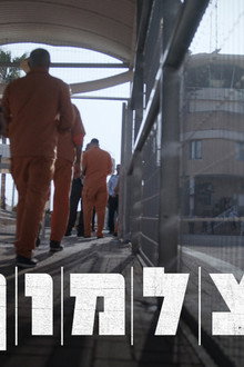 צלמון