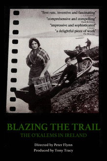 Blazing the Trail: The O'Kalems in Ireland