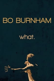 Poster do filme Bo Burnham: What.