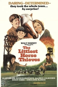 Poster do filme O Pequeno Ladrão de Cavalos
