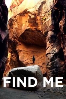 Poster do filme Find Me