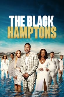 The Black Hamptons tv show poster