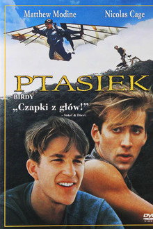 Ptasiek
