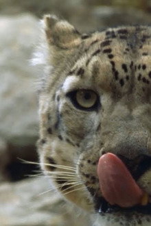 China's Wild Side