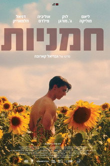 חמניות