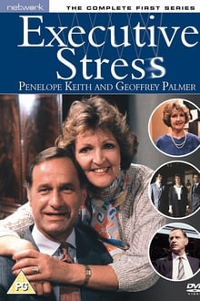 Poster da série Executive Stress