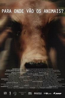 Para Onde Vão Os Animais