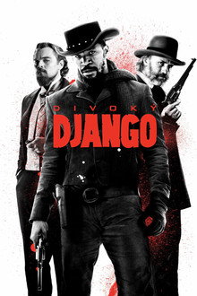 Divoký Django