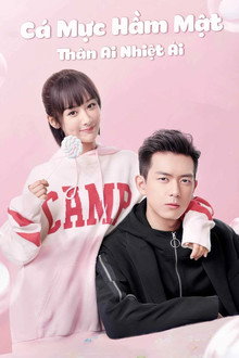 Cá Mực Hầm Mật