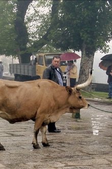 The-Miracle-of-Saint-Anthony