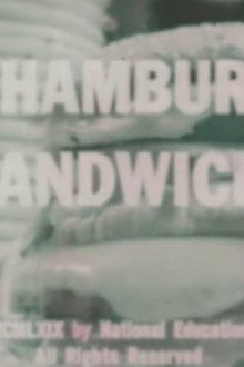 The Hamburger Sandwich