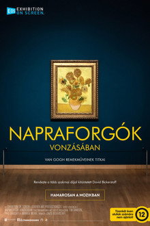 Napraforgók vonzásában