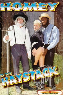 Homey In The Haystack