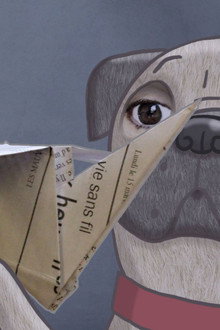 Monsieur Pug