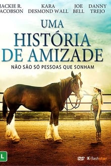 Poster do filme Uma História de Amizade