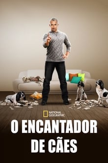 Poster da série O Encantador de Cães
