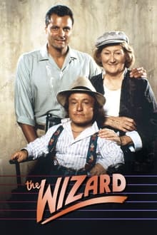 The Wizard tv show poster