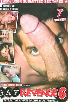 Gay Revenge 6