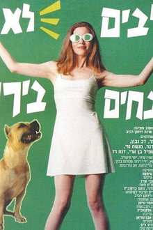 Dogs Are Color Blind