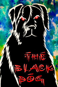 The Black Dog