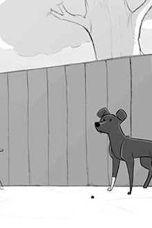 The Dog