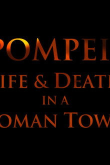Pompeii: Life and Death in a Roman Town