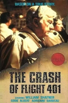 Poster do filme The Crash of Flight 401