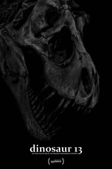 Dinosaur 13 Dinosaur 13