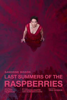 Poster da série Last Summers of the Raspberries