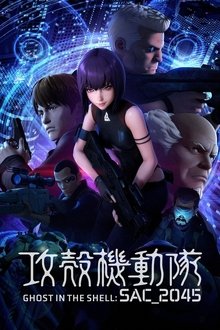 Ghost in the Shell: SAC_2045