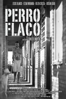 Poster do filme Perro flaco