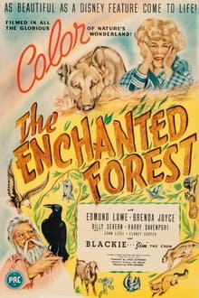 Poster do filme The Enchanted Forest
