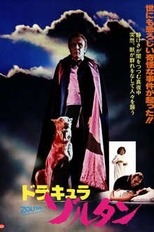 Dracula's Dog