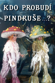 Kdo probudí Pindruše...?