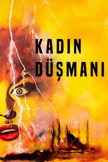 Kadın Düşmanı
