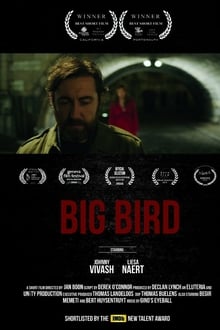 Poster do filme Big Bird