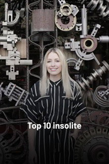 Top 10 insolite