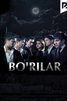 Bo'rilar