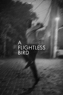 A Flightless Bird
