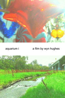 aquarium i