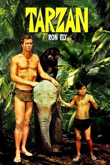 Poster da série Tarzan