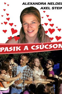 Pasik a csúcson