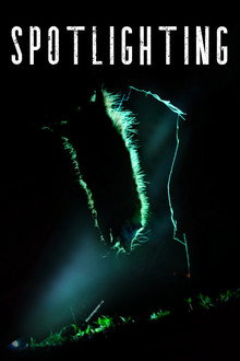Spotlighting