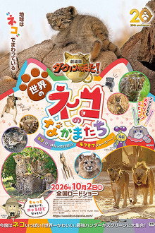Darwin's Amazing Animals: Cats Around the World