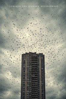 Lorsque Les Oiseaux Reviendront