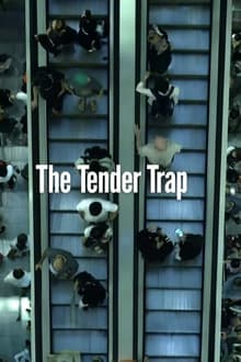 Poster do filme The Tender Trap