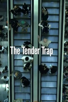 Poster do filme The Tender Trap